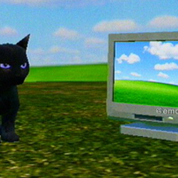 catonputer