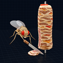 KEBAB / SOL