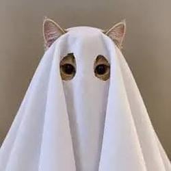 ᅠ
