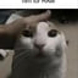RAMCAT