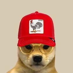 VECKZ