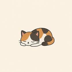 eepycat / SOL