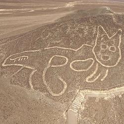 Catoglyph