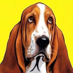 BASSET / BNB