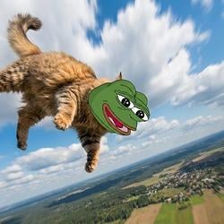 KITTYPEPE