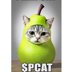 PCAT / SOL
