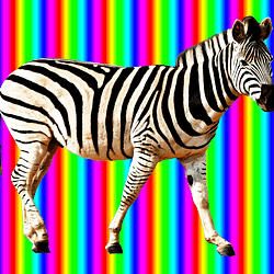 🌈