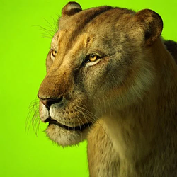 Panthera Spelaea