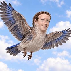Birdmeta