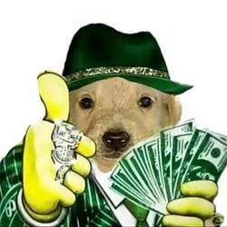 PAIDDOGE