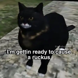 ruckus
