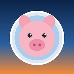 FLYINGPIG