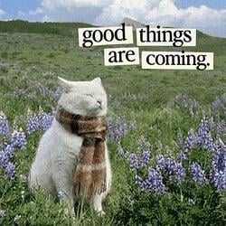 coming