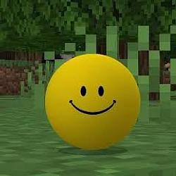 VER