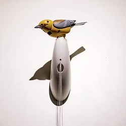 AUTOMATA