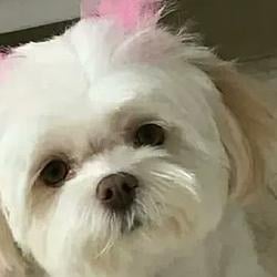WINNIE