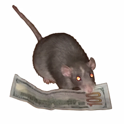 CASHRAT