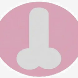 SI
