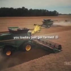 FARM / SOL