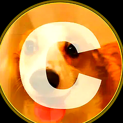 CORGIDOGE