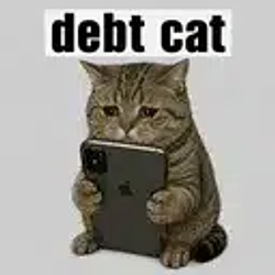Debtcat
