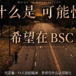 希望在 BSC / BNB