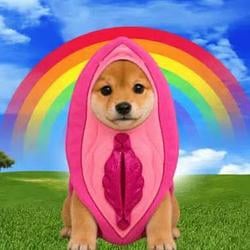 INU