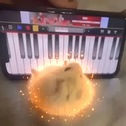 keyster / SOL