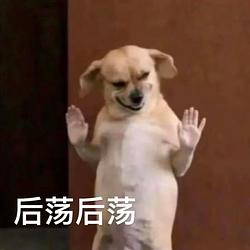 后荡狗