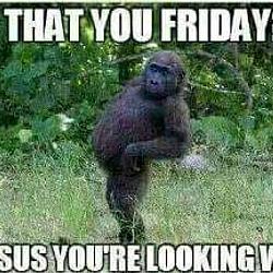 APEFRI