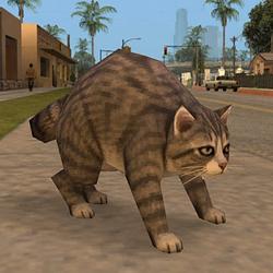 CATOTHY / WETH