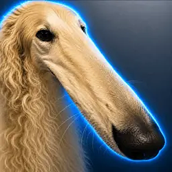 בורזוי / SOL