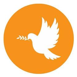 Peace Coin logo