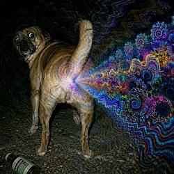 FART
