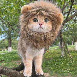 LARPINGCAT