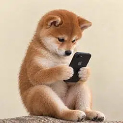 ifone