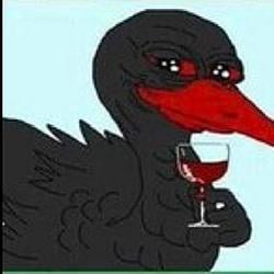 Dodo / SOL