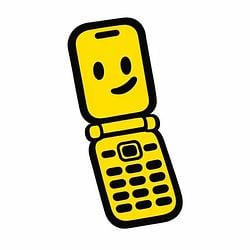 FLIPPHONE