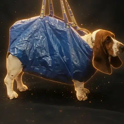 BAG