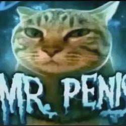 PENIS