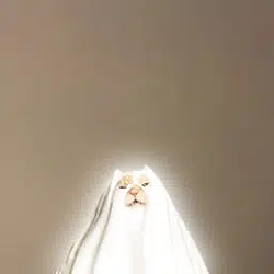 ㅤㅤ