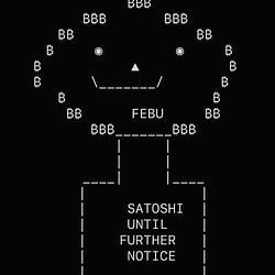 FEBU / SOL