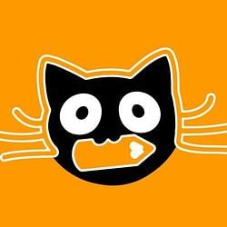 FI