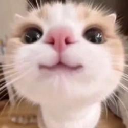:3