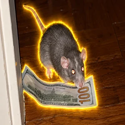 Rat