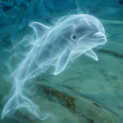 GHOSTDOLPHIN