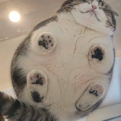 ぎゅっ