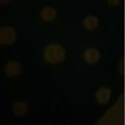 dots