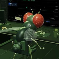 DEGENFLY