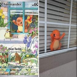 CHARMANDER